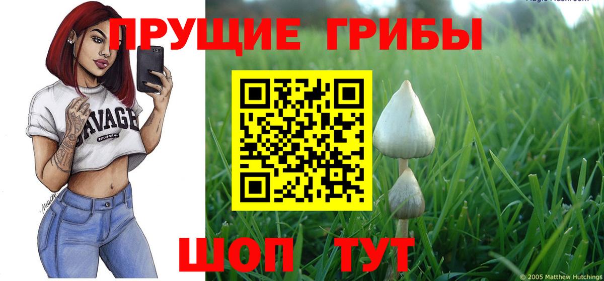 Псилоцибиновые грибы Psilocybine cubensis Еманжелинск